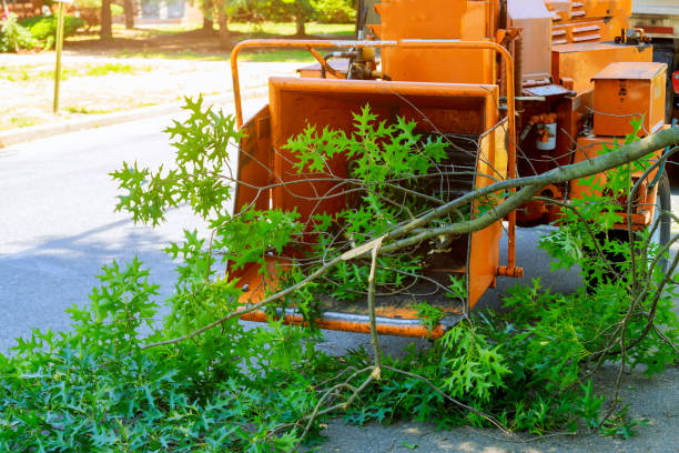 Landscape Design and Installation in Occoquan, VA